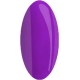 geellakk Jannet color 113 violet