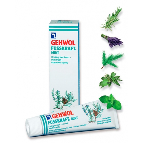 Jähutav ja värskendav kreem - Gehwol Mint