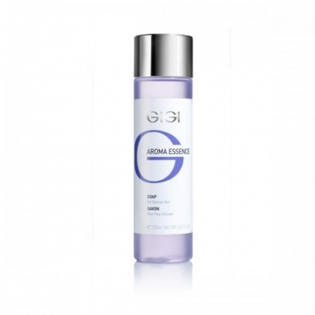 SEEP TUNDLIKULE NAHALE 250 ML GIGI AROMA ESSENCE