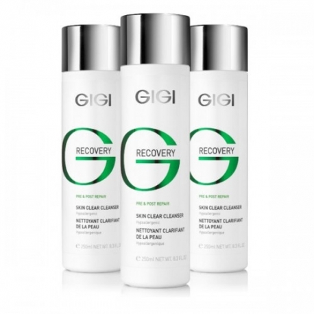 PUHASTUSGEEL 250ML GIGI RECOVERY PRE&POST