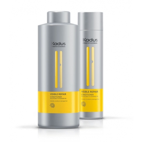 PALSAM KAHJUSTATUD JUUSTELE KADUS VISIBLE REPAIR CONDITIONER